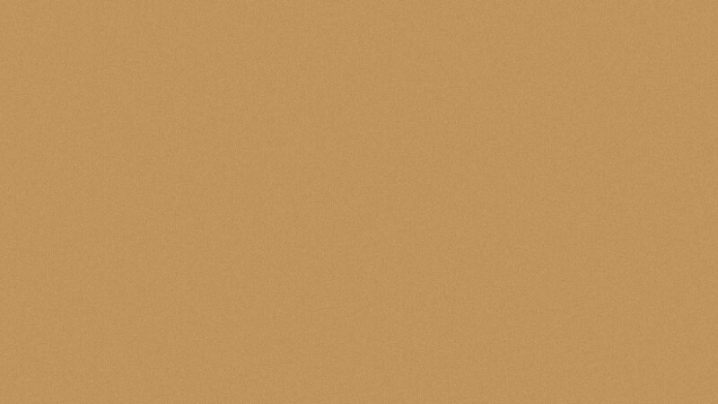 Фиброцементная панель Cedral Smooth C11