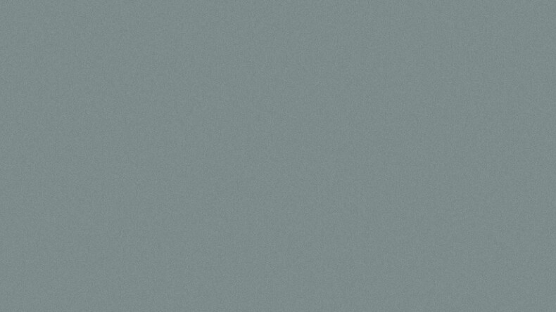 Фиброцементная панель Cedral Click Smooth C10